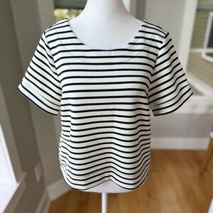 The Limited Ivory and Navy Blue Striped Cropped Boxy Fit Short Sleeve Top Small